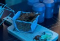 上海黄浦区外滩街道附近ktv招聘包厢管家,招聘微信多少