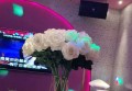 揭秘卧龙凤雏杭州夜游：神秘KTV之夜与背后人物探索
