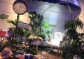 班长不干人事招聘文案（引领团队，招募班长级人才——共创卓越团队）
