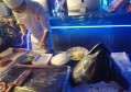 烽火春秋航空招聘文案（翱翔蓝天，共绘春秋——航空领域精英招募启事）