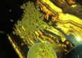 上海给小费多的夜场ktv招聘包厢气氛组,工作时间和排班制度是怎样的？