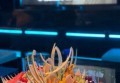 上海嘉定区安亭镇附近酒吧招聘商务礼仪,招聘电话多少