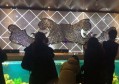 常德财务公司招聘文案（诚邀加入：常德财务企业招聘启事）